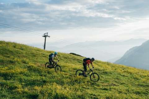 Rad / Mountainbike