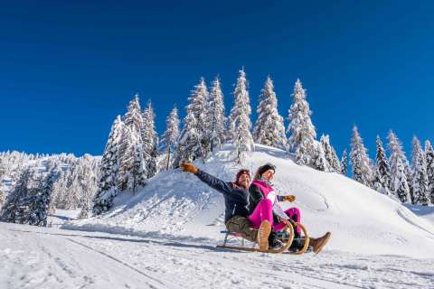 Tobogganing